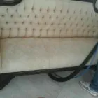 Maatskappy 16 beeld PINKY & THE STAIN PROFESSIONAL CARPET CLEANERS Upholstery cleaners in KZN in Port Elizabeth EC