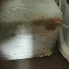 Maatskappy 19 beeld PINKY & THE STAIN PROFESSIONAL CARPET CLEANERS Upholstery cleaners in KZN in Port Elizabeth EC