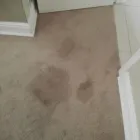 Maatskappy 32 beeld PINKY & THE STAIN PROFESSIONAL CARPET CLEANERS Upholstery cleaners in KZN in Port Elizabeth EC