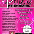 Maatskappy 39 beeld PINKY & THE STAIN PROFESSIONAL CARPET CLEANERS Upholstery cleaners in KZN in Port Elizabeth EC