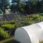 Maatskappy 1 beeld PLANT CULTURE TREE NURSERY Wholesale in Stellenbosch WC