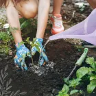 Business 1 image PLANTLAND CORNWALL HILL GARDEN CENTRE plant shop in Pretoria GP