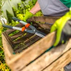 Business 1 image PLANTLAND MENLYN GARDEN CENTRE plant shop in Pretoria GP