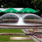 Maatskappy 14 beeld POOL SPA & FILTRATION SUPPLIES PTY LTD Water Features in Randburg GP