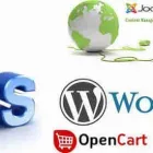 Maatskappy 10 beeld PRETORIAWEB TRAFFIC Wordpress Web Development in Durban KZN