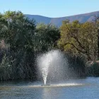 Business 23 image PROTEA BY MARRIOTT ZEBULA LODGE Za Hotel in Limpopo ZAF