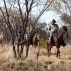 Business 26 image PROTEA BY MARRIOTT ZEBULA LODGE Za Hotel in Limpopo ZAF