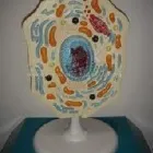 Business 33 image REBOCHEM Ph Meters in Mokopane LP