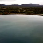 Business 2 image RIETFONTEIN OSTRICH PALACE Ostrich Farm in Oudtshoorn WC