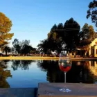 Business 3 image RIETFONTEIN OSTRICH PALACE Ostrich Farm in Oudtshoorn WC