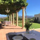 Business 5 image RIETFONTEIN OSTRICH PALACE Ostrich Farm in Oudtshoorn WC