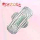Maatskappy 2 beeld ROSELEE SANITARY NAPKIN MANUFACTURING COMPANY Machines in Johannesburg NW