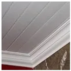 Business 8 image ROTER STERN TRADING Roofing Services in Nelspruit MP