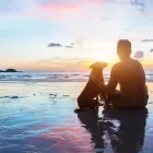 Business 3 image ROXBOX raw pet food in Cape Town WC