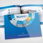 Business 4 image SAVVY SPROUT Website Design in Cape Town WC