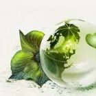 Maatskappy 3 beeld SENSUAL HANDS, LINDEN RANDBURG Sensual Massage in Randburg GP