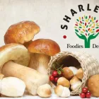 Business 1 image SHARLEBEL (PTY) LTD Mushrooms in George WC