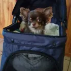 Business 23 image SHOP PLAYPENS Tummy Tie in Cape Town WC