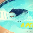 Business 26 image SHOP PLAYPENS Tummy Tie in Cape Town WC