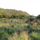 Business 1 image SKULLS PAINTBALL Things to Do Waterberg in Bela-Bela LP