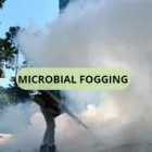 Maatskappy 6 beeld SOLID HYGIENE SOLUTIONS Pest Control in Cape Town WC