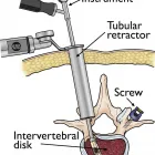 Maatskappy 5 beeld SPINAL SURGEON CAPE TOWN Orthopaedic Surgeons in Cape Town WC
