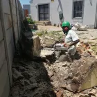 Maatskappy 4 beeld STM TREE FELLERS Tree Surgery in Cape Town WC