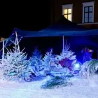 Maatskappy 5 beeld TENTICKLE TENTS Wedding Venues in Johannesburg GP