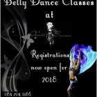 Maatskappy 3 beeld THE BELLY DANCE ACADEMY - ORIENTAL INVASION Weight Loss Service in Pretoria GP