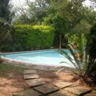 Business 9 image THE ROOSTER'S NEST B+B THS in Johannesburg GP