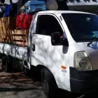 Maatskappy 3 beeld THOMAS GOLDEN SERVICES Tree Felling in Pretoria GP