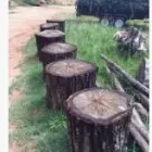 Business 1 image TREE FELLOWS Tree Trimming Service in Krugersdorp GP