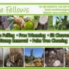 Business 2 image TREE FELLOWS Tree Trimming Service in Krugersdorp GP