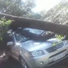 Maatskappy 2 beeld TSHANEMBELEDZI ALL ROUND PROPERTY MANAGEMENT (PTY) LTD Trellidoors in Windsor East GP