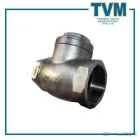 Maatskappy 14 beeld TVM - THERMAL VALVE MANUFACTURE (PTY) LTD Y-Strainer in Johannesburg GP