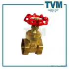 Maatskappy 21 beeld TVM - THERMAL VALVE MANUFACTURE (PTY) LTD Y-Strainer in Johannesburg GP