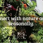 Business 1 image VERTICAL VEG vertical veg in Cape Town WC