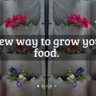 Business 5 image VERTICAL VEG vertical veg in Cape Town WC