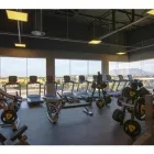 Maatskappy 3 beeld VIVA GYM SUNNINGDALE Yoga Studio in Cape Town WC