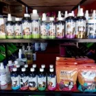 Maatskappy 1 beeld WAGGY TAILS Tropical Fish in Pretoria GP