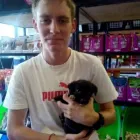 Maatskappy 4 beeld WAGGY TAILS Tropical Fish in Pretoria GP