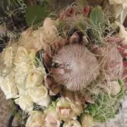 Maatskappy 1 beeld WEDDING WAREHOUSE Invites in Pretoria GP