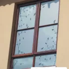 Maatskappy 16 beeld WINDOW FROSTING - O2 DESIGNS Windows in Johannesburg GP
