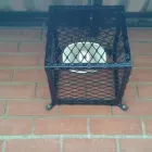 Business 3 image X-CHE RADIATOR KING .. KANGOBESE TRADING PTY LTD Repairs to Suspension in Stanger KZN