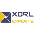 Business 1 image XBRL EXPERTS XBRL Filing in Ahmedabad NW
