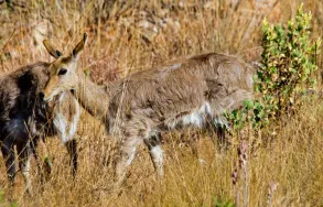Maatskappy 5 beeld AT THE VIEW Guest Houses in Roodepoort GP