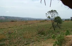 Maatskappy 13 beeld AT THE VIEW Guest Houses in Roodepoort GP