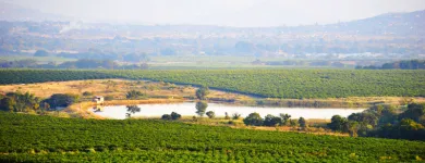 Business 2 image AFRICAN REALTY TRUST (PTY) LTD Fruit Packers And Distributors in Tzaneen LP