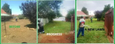 Business 3 image BARRETT'S INSTANT LAWN Turf in Tarlton GP