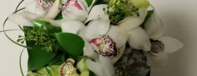 Business 7 image BELLA FINESSE WEDDING FLOWERS & EVENT DECOR West Rand Florist in Roodepoort GP